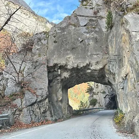 Le Ptit Paradis